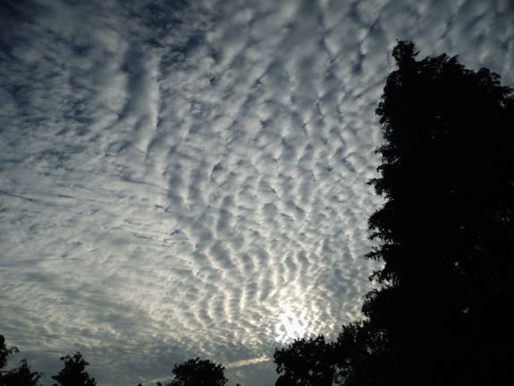 microwaving rain out of clouds